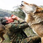 el-casi-desconocido-caso-del-nino-criado-por-lobos-en-espana