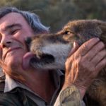 el-casi-desconocido-caso-del-nino-criado-por-lobos-en-espana