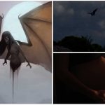 Manananggal, la terrorífica vampira de Filipinas