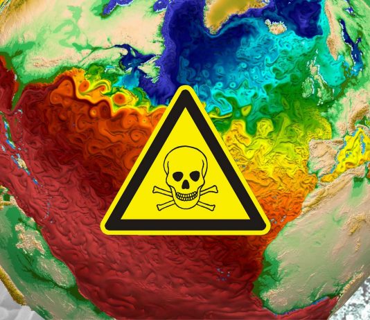 Enfermedades que están surgiendo por el calentamiento global
