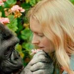 historia gorila koko