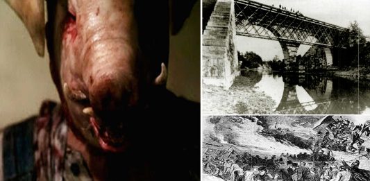 La verdadera leyenda del hombre cerdo de American Horror Story La verdadera leyenda del hombre cerdo de American Horror Story