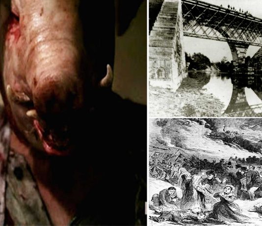 La verdadera leyenda del hombre cerdo de American Horror Story La verdadera leyenda del hombre cerdo de American Horror Story