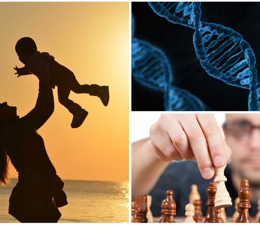 La inteligencia se hereda de la madre