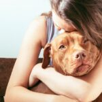 Comportamientos extraños en perros