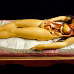 que-son-las-venus-anatomicas