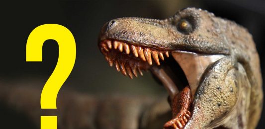 ¿Qué sonido hacían los dinosaurios? Ahora sabemos que NO sonaban como los pájaros