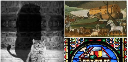 La leyenda del origen de los gatos y el Arca de Noé