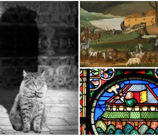 La leyenda del origen de los gatos y el Arca de Noé
