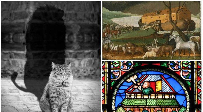 La leyenda del origen de los gatos y el Arca de Noé