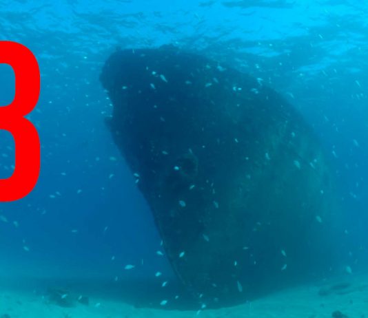 Explorando los 3 barcos hundidos más extraordinarios del mundo Explorando los 3 barcos hundidos más extraordinarios del mundo