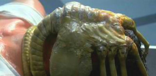 ¿En qué se inspiró la fase abrazacaras de Alien? - Supercurioso