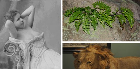 ¿Cómo se divertían en la época victoriana? ¿Cómo se divertían en la época victoriana?