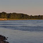 El seductor del s. XV que resultó ser una mujer con un miembro de madera