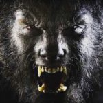 Licantropía clínica: Los verdaderos hombres lobo ¿De qué se trata?