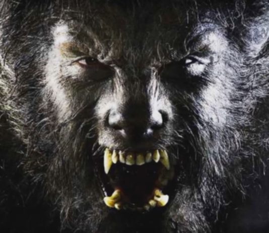 Licantropía clínica: Los verdaderos hombres lobo. ¿De qué se trata? Licantropía clínica: Los verdaderos hombres lobo ¿De qué se trata?