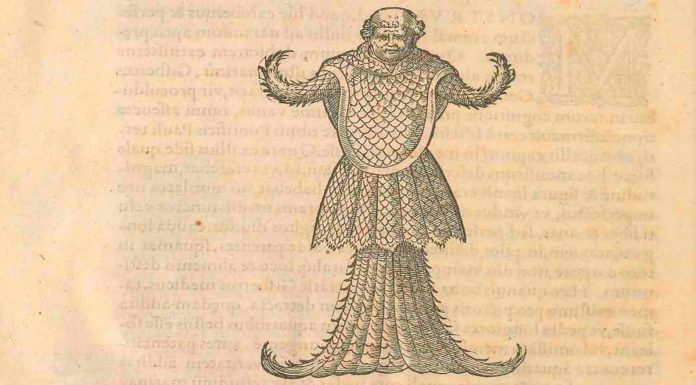 ¿Qué era realmente este extraño monstruo marino del Renacimiento?