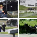 8 datos de los amish que quizá ignorabas