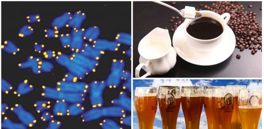 ¿Café o cerveza? ¿Cómo afecta esta decisión a tu esperanza de vida? Cafe o cerveza ¿Cómo afecta esta decisión a tu esperanza de vida?