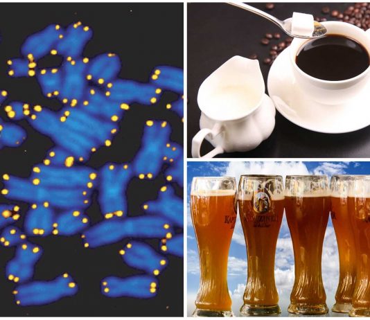Cafe o cerveza ¿Cómo afecta esta decisión a tu esperanza de vida?