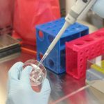 ¿Podría existir un virus zombi? ¿Crear muertos vivientes? ¡Averígualo!