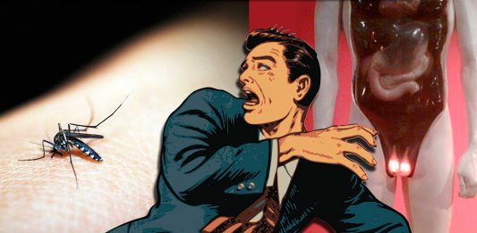 El efecto del virus Zika en varones podría existir y ser peor de lo pensado