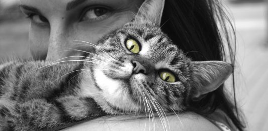 Los gatos dominan a sus dueños, según un estudio. ¿Sabes cómo?