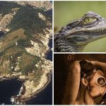 3 Islas MUY peligrosas que no querrás visitar