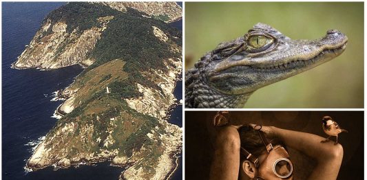 3 Islas MUY peligrosas que no querrás visitar