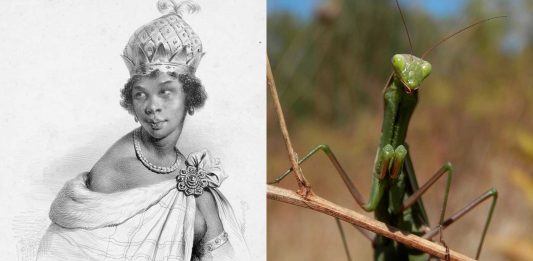Nzinga, la reina que mataba a sus amantes tras una noche de amor