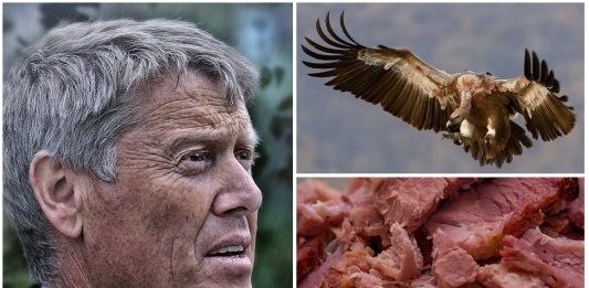 Cuando del cielo llovió carne cruda