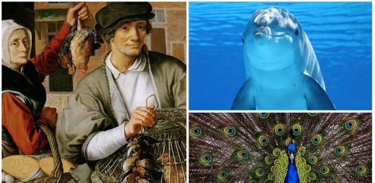 3 platos del renacimiento que te alucinarán