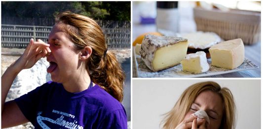 La repulsión olfativa esconde una ventaja evolutiva ¿Cuál?