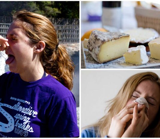 La repulsión olfativa esconde una ventaja evolutiva. ¿Cuál? La repulsión olfativa esconde una ventaja evolutiva ¿Cuál?