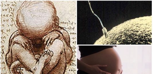 Superfetación: el fenómeno que permite embarazarse estando embarazada