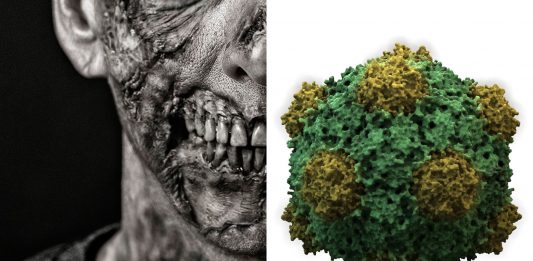 ¿Podría existir un virus zombi? ¿Crear muertos vivientes? ¡Averígualo!
