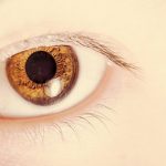 ¿Tienes los ojos azules? En realidad, son marrones. Tus iris no son sinceros