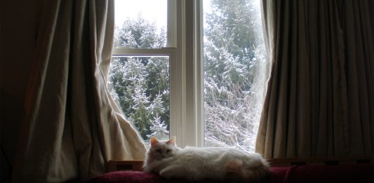 10 trucos para mantener tu casa caliente este invierno y ¡ahorrar! 10 trucos para mantener tu casa caliente este invierno y ¡ahorrar!