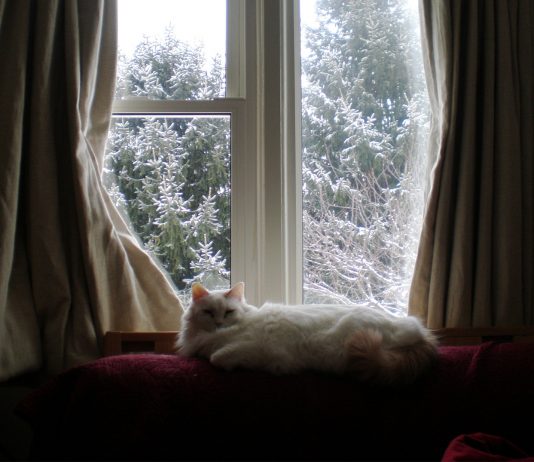 10 trucos para mantener tu casa caliente este invierno y ¡ahorrar!