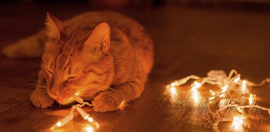 Tecnología LED, presente y futuro de la iluminación Tecnología LED, presente y futuro de la iluminación