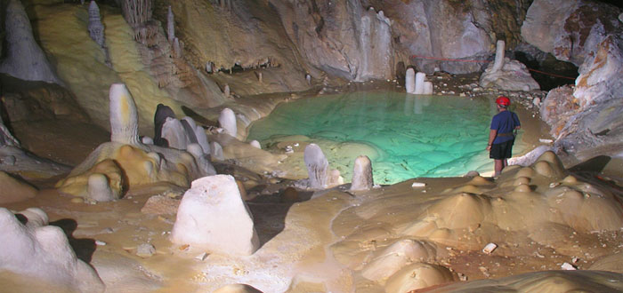 Una bacteria casi indestructible hallada en una cueva aislada durante millones de años