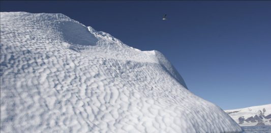 ¡Una nueva forma de vida en la Antártida!