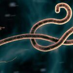 ebola-enfermedades-extraterrestres