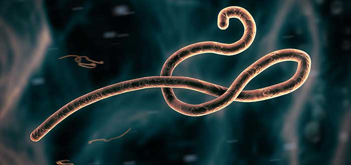 Ébola - Enfermedades extraterrestres