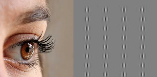 La mejor ilusión óptica de 2016 La mejor ilusión óptica de 2016