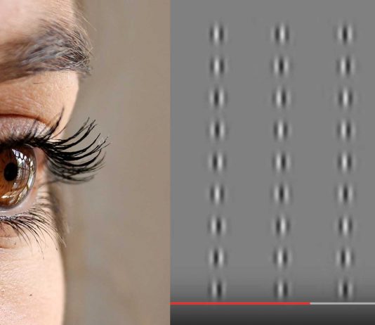 La mejor ilusión óptica de 2016 La mejor ilusión óptica de 2016