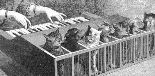 El Katzenclavier: ¡¿un piano hecho de gatos?!