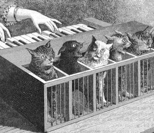 El Katzenclavier: ¡¿un piano hecho de gatos?!