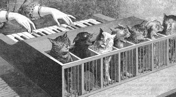 El Katzenclavier: ¡¿un piano hecho de gatos?!