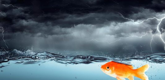 ¿Por qué los peces no se electrocutan durante una tormenta?